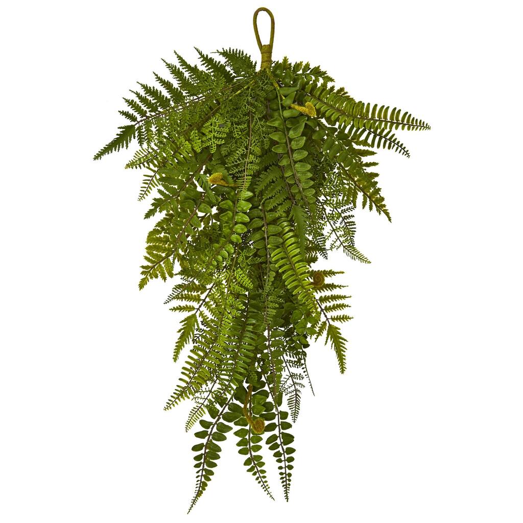 Set of 2 Artificial Fern Teardrop Christmas Swag, 28-Inch, Unlit - Green