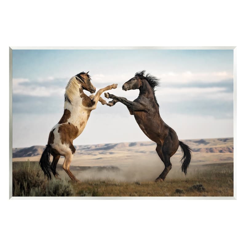 Stupell Fighting Horses Photography Wall Plaque Art Design by PBurchettePhoto - 19 x 13