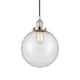 Option Polished Nickel / Seedy