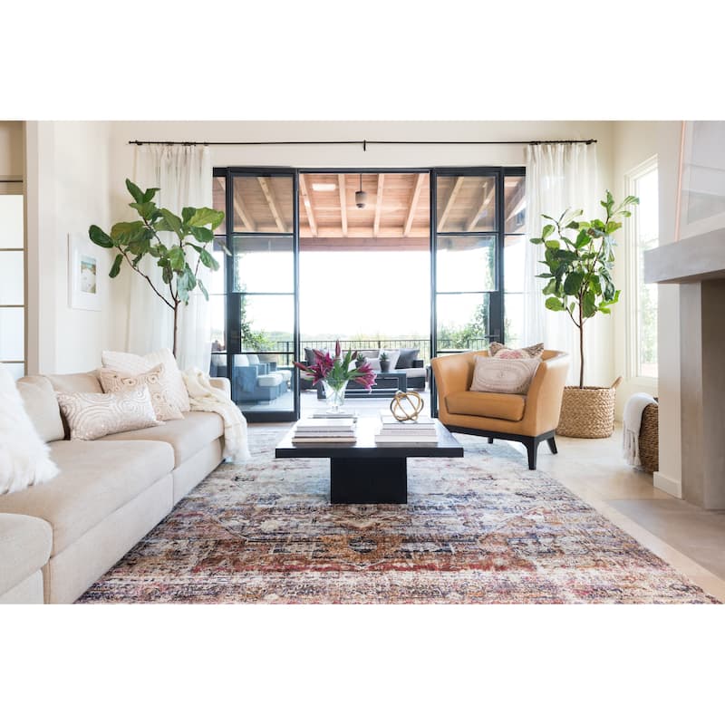 Alexander Home Contessa Traditional Medallion Boho Distressed Rug
