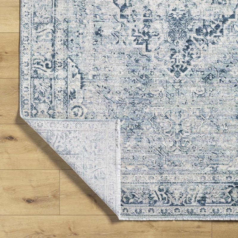 Dobbins Traditional Medallion Area Rug