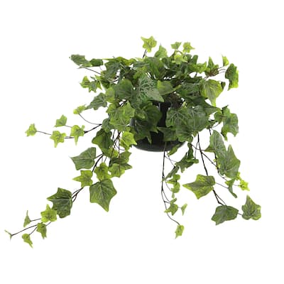 Ivy Arrangement in a Glass Vase - Green