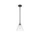 Option Clear / Black Antique Brass