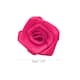 Option Rose Red