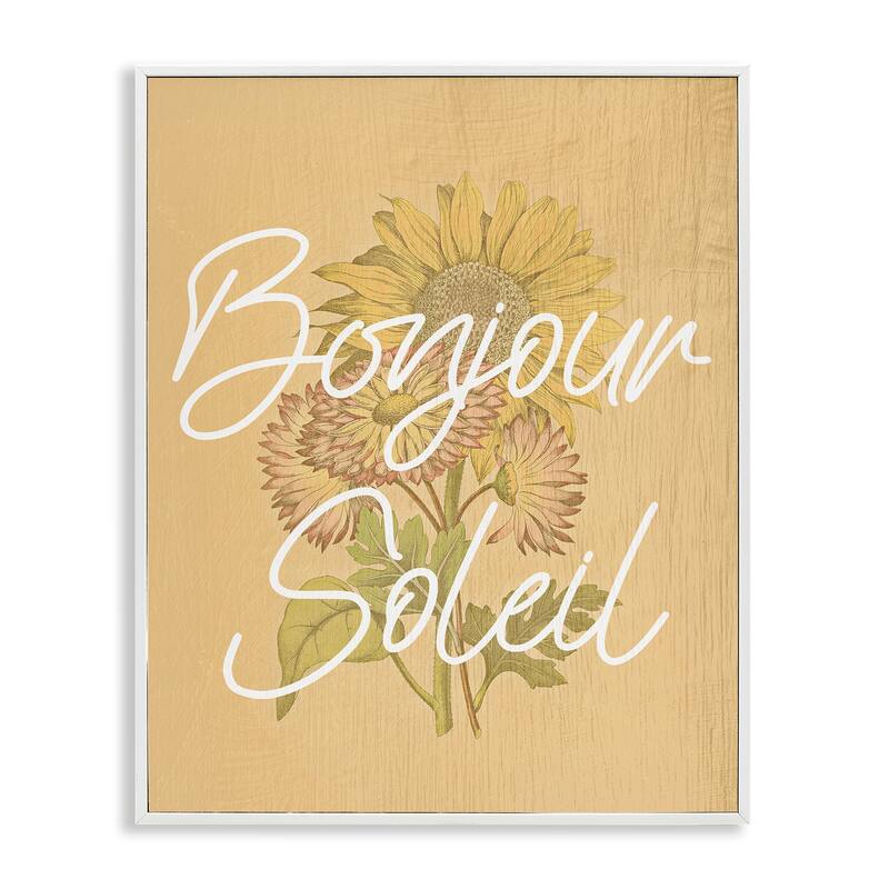 Stupell Hello Sunshine French Phrase Framed Giclee Art Design By Lil' Rue - 24 x 30 - White