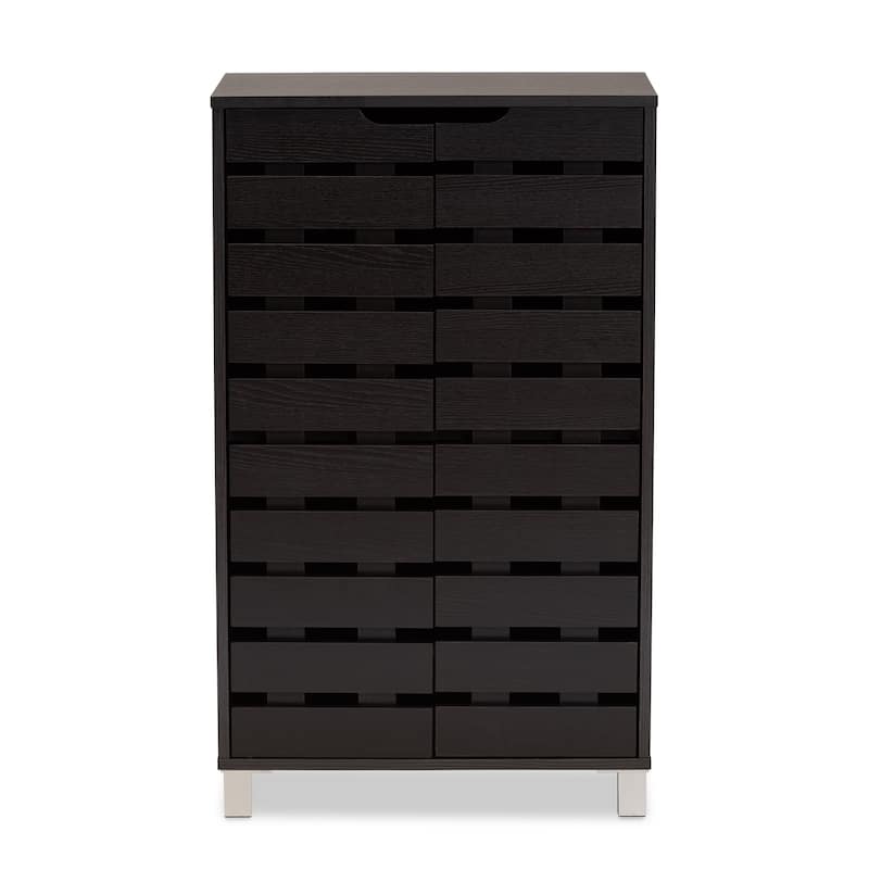 Ernest Dark Brown Finished Wood 2-Door Shoe Storage Cabinet