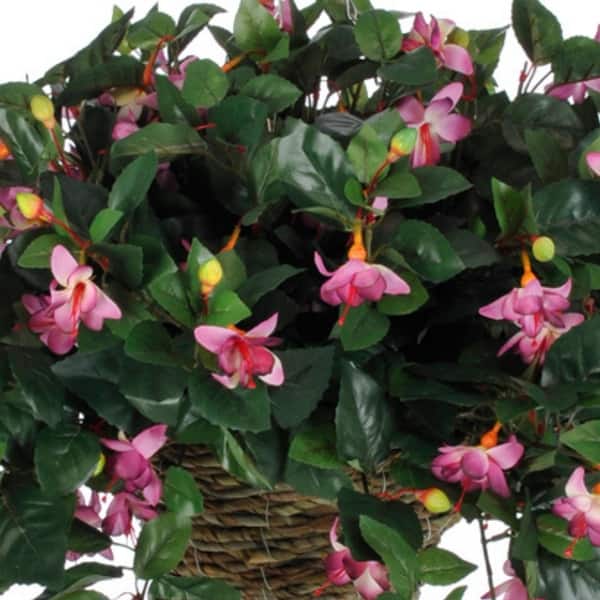potted fiddle leaf fig tree Bambino Fiddle Leaf Fig Tree main image 1