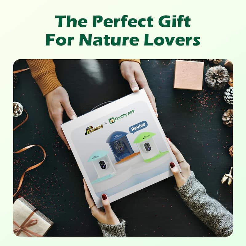 Smart Solar Bird Feeder with Camera and Interactive App