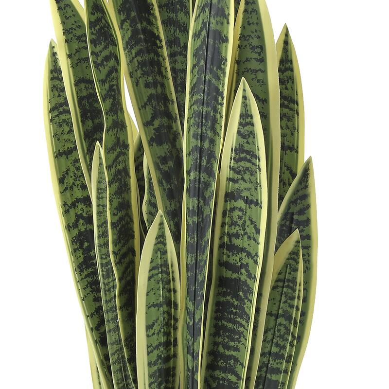 Potted Sansevieria Trifasciatia 52.5"