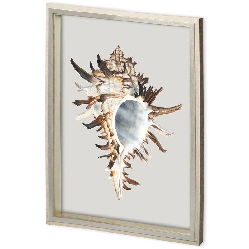 Custom Black Murex Framed Art Print