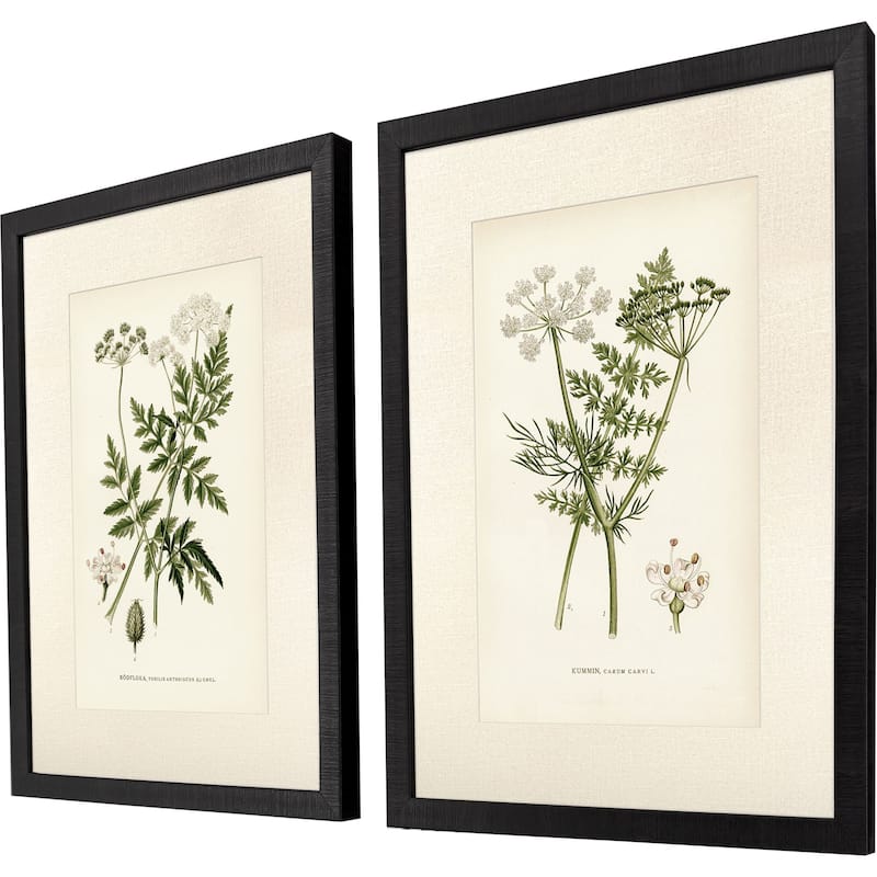 Paragon Queen's Lace II Framed Art - Set of 2