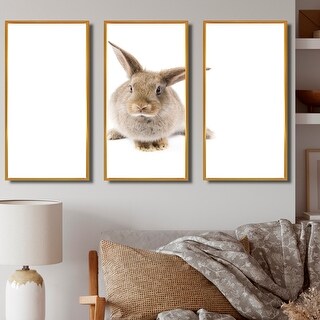 Brown Rabbit Frame Designart