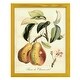 preview thumbnail 33 of 138, Printed Tuscan Fruits IV -Framed Print w/glass-Cherry Red 12x15 - Yellow