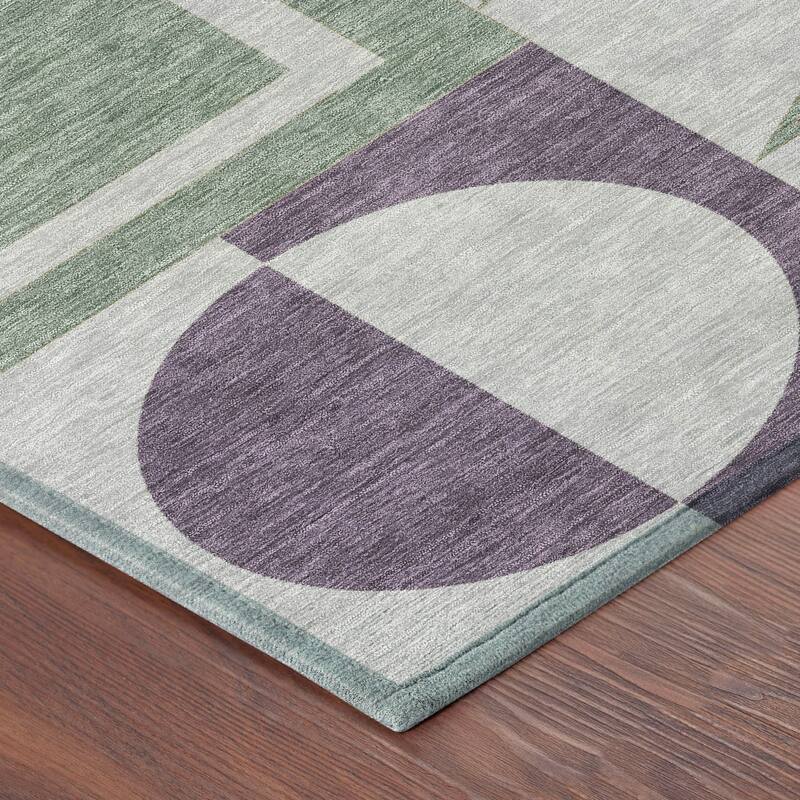 Machine Washable Indoor/ Outdoor Modern Crowley Chantille Rug