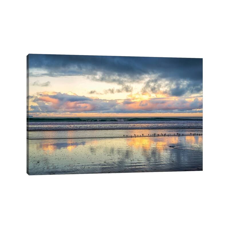 iCanvas "A Beach For The Birds" by Joseph S. Giacalone Canvas Print