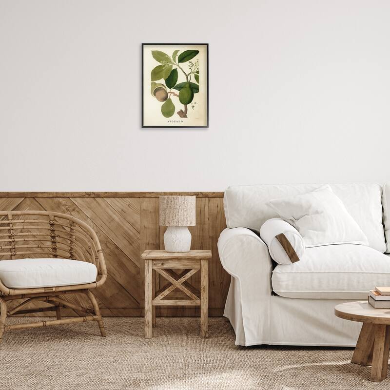 Stupell Vintage Avocado Plant Framed Giclee Art Design By Lil' Rue