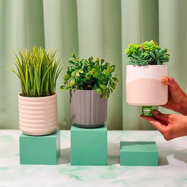 Lifelines Plant Diffuser - Bed Bath & Beyond - 41019120