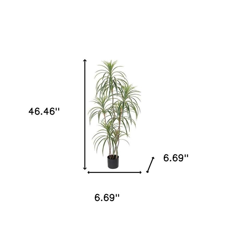 HomeRoots 63" Green Artificial Dracaena Tree in a Black Pot - 6.69 in. x 62.99 in. x 6.69 in.