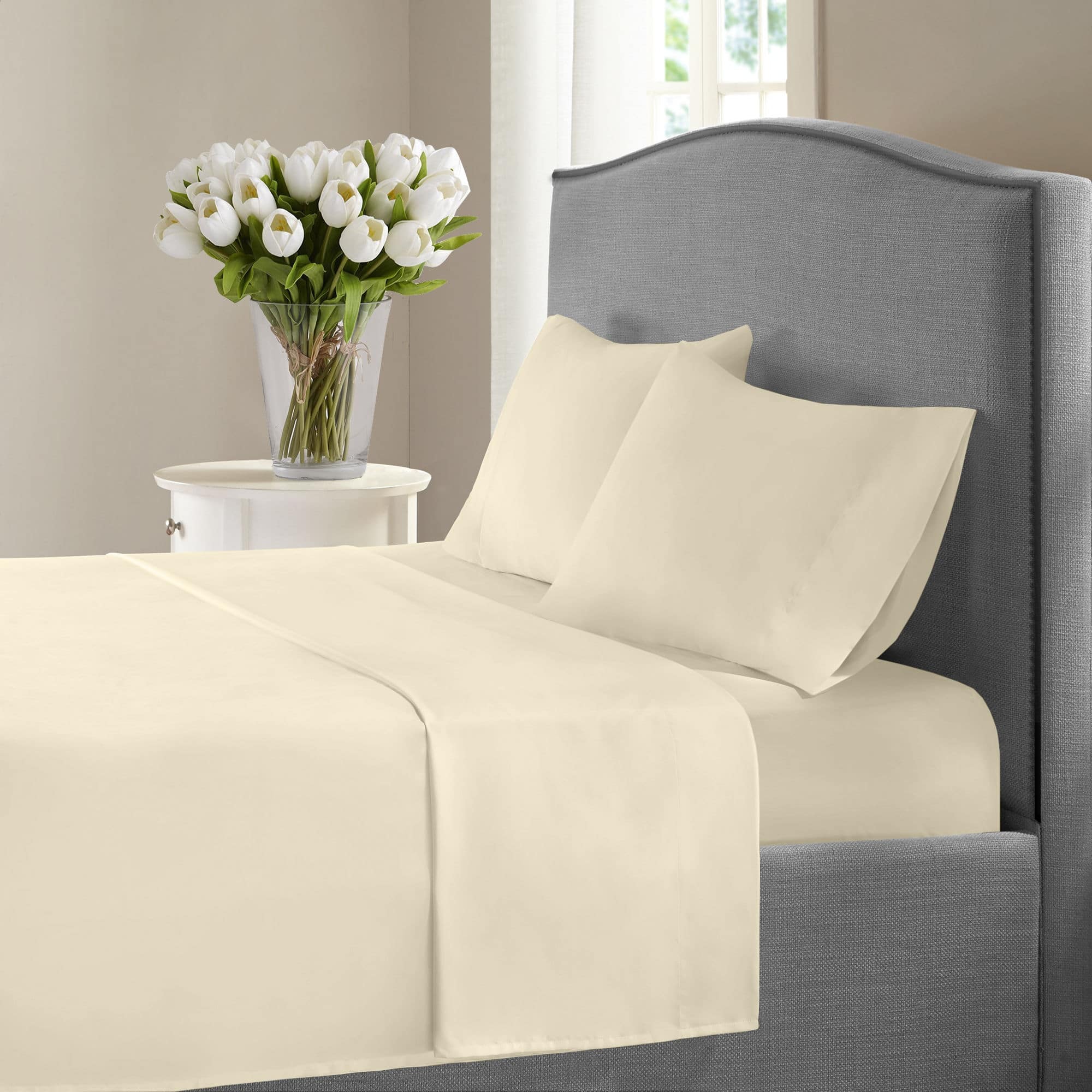 Option Ivory