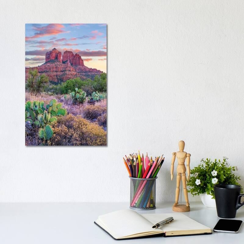 iCanvas "Opuntia Cacti, Cathedral Rock, Sedona, Arizona" by Tim Fitzharris Canvas Print - 12x8x0.75