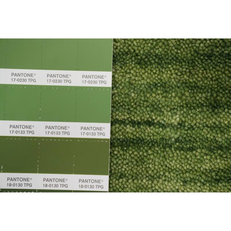 Hand Knotted Oriental 100% Wool Carpet Tribal Animal Pictorial Green Gabbeh Area Rug - 9' 0'' X 5' 10''