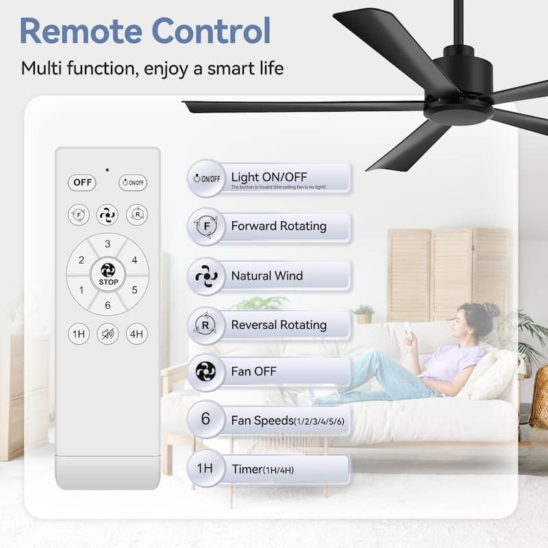 52-Inch Black/White Ceiling Fan with Remote Without Light(5-Blade)