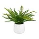 preview thumbnail 1 of 2, Uttermost 60238 Boston Fern 14" Tall Ceramic Faux Flora Planter White