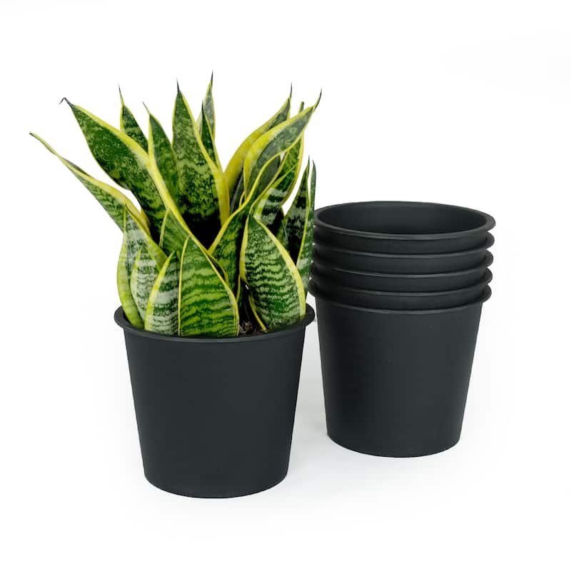 DTY Signature 5"Nursery Plant Pot - Garden Plastic Pots with Drainage (5-Pack) - 5 inch Round