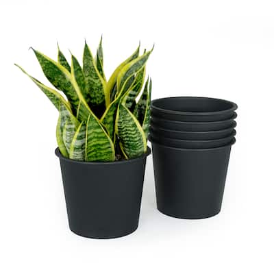 DTY Signature 5"Nursery Plant Pot - Garden Plastic Pots with Drainage (5-Pack)