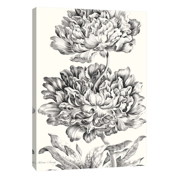 PTM Images 9-108899 PTM Canvas Collection 10" x 8" - "Heroic Peony" Giclee Flowers Art Print on Canvas