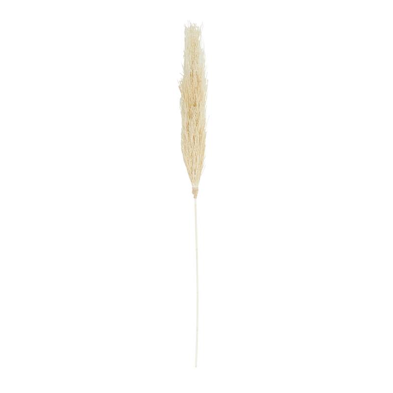 Brown Dried Plant Tall Pampas Grass Home Decor Natural Foliage