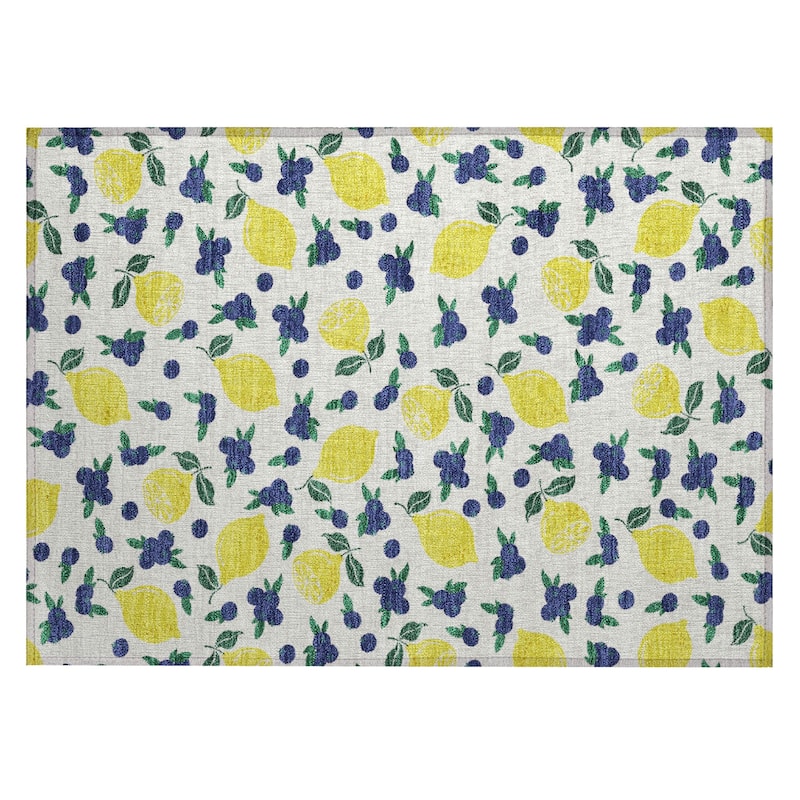 Machine Washable Indoor/ Outdoor Citrus Berry Chantille Rug