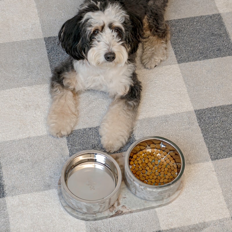 Marbre 12oz Double Pet Bowl Set - Marble & Stainless Steel with Non-Slip Tray