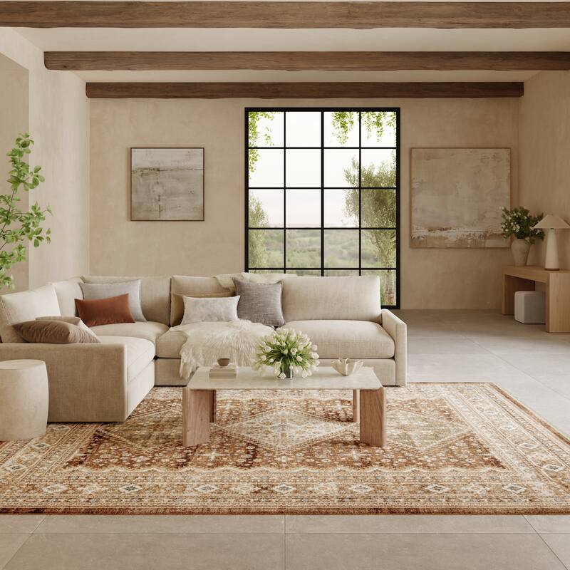 Nourison Pardis Indoor only Brown Persian Area Rug - Rust - 7'10" x 9'10"