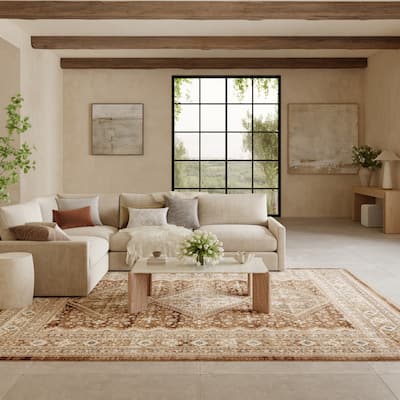 Nourison Pardis Indoor only Brown Persian Area Rug