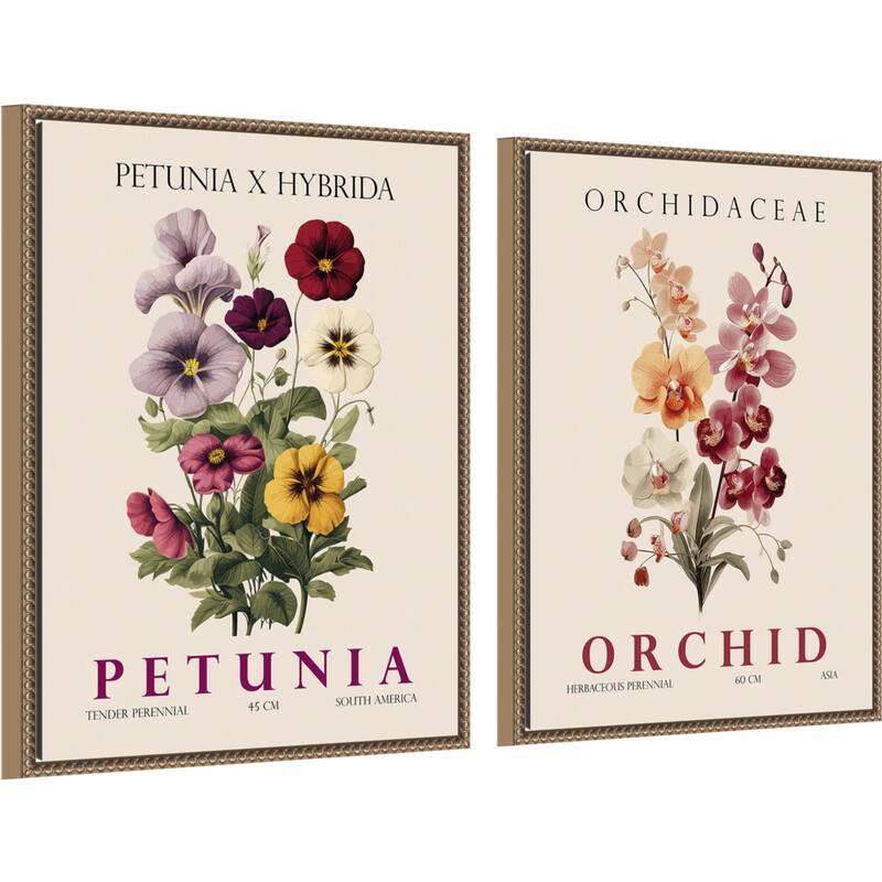 Amanti Art Vintage Orchid Petunia & Hydrangea 2 Piece by Christopher Giampietro Framed Canvas Wall Art