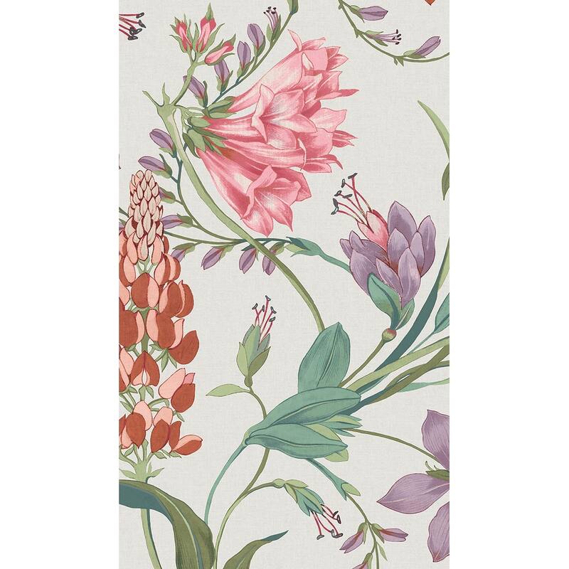 Graham & Brown Botanists Scroll Pink Wallpaper