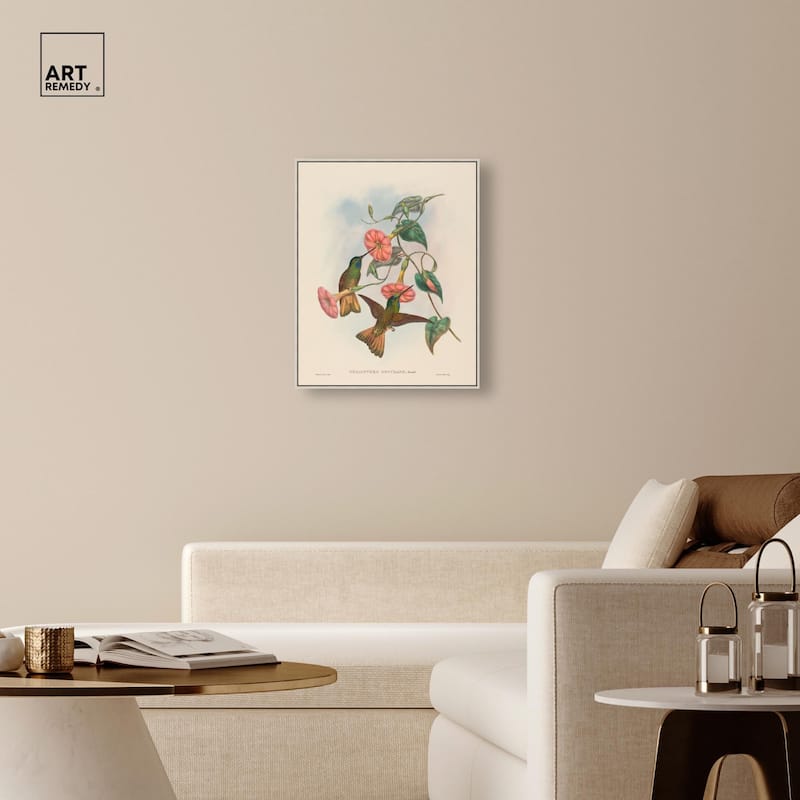 Gould's Hummingbirds Canvas by Art Remedy