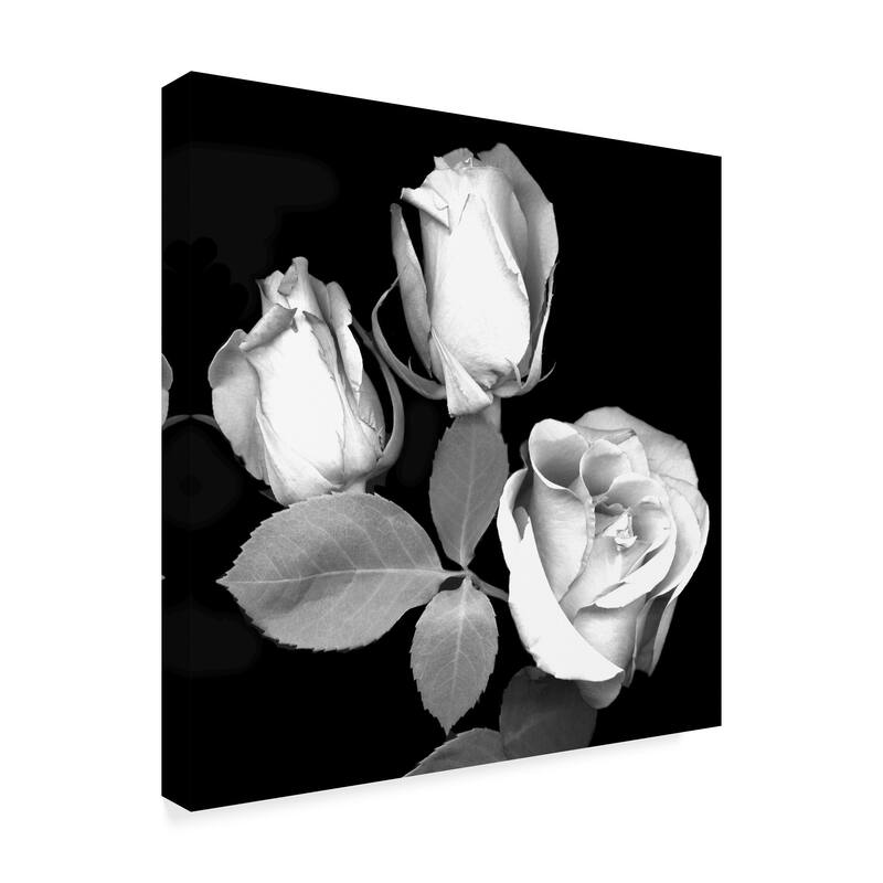 Susan S. Barmon 'Three Roses Black And White' Canvas Art