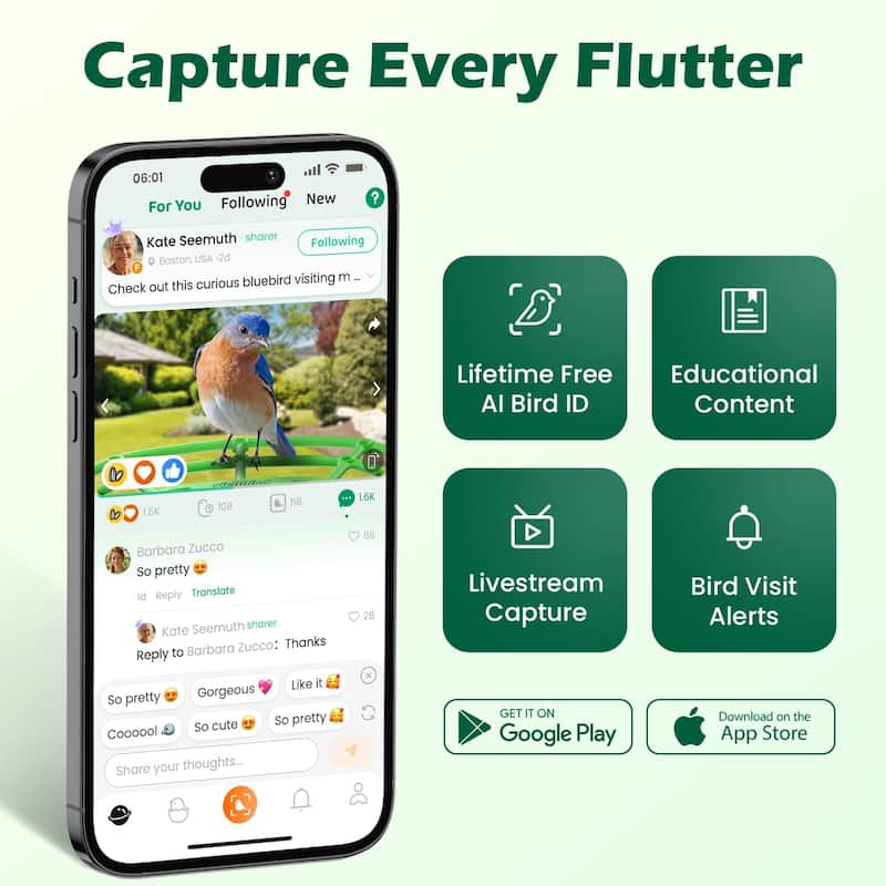 Smart Solar Bird Feeder with Camera and Interactive App