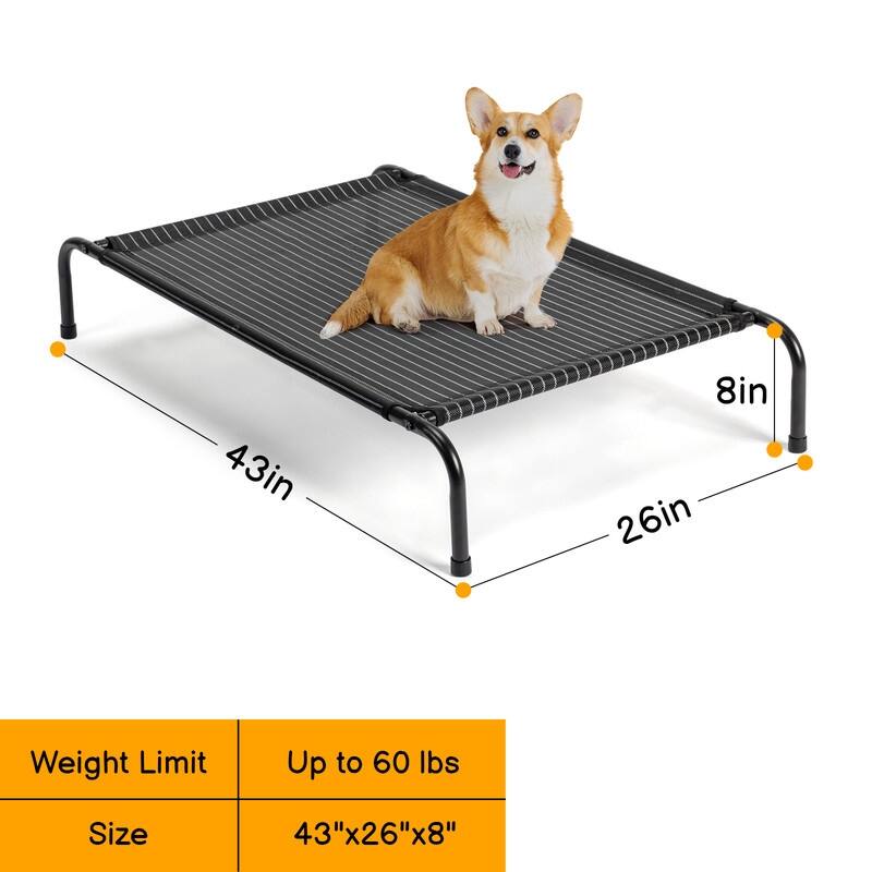 43 in. x 26 in. Iron Frame Mesh Top Outdoor Dog Cot - 43 in. x 16 in. x 8 in.