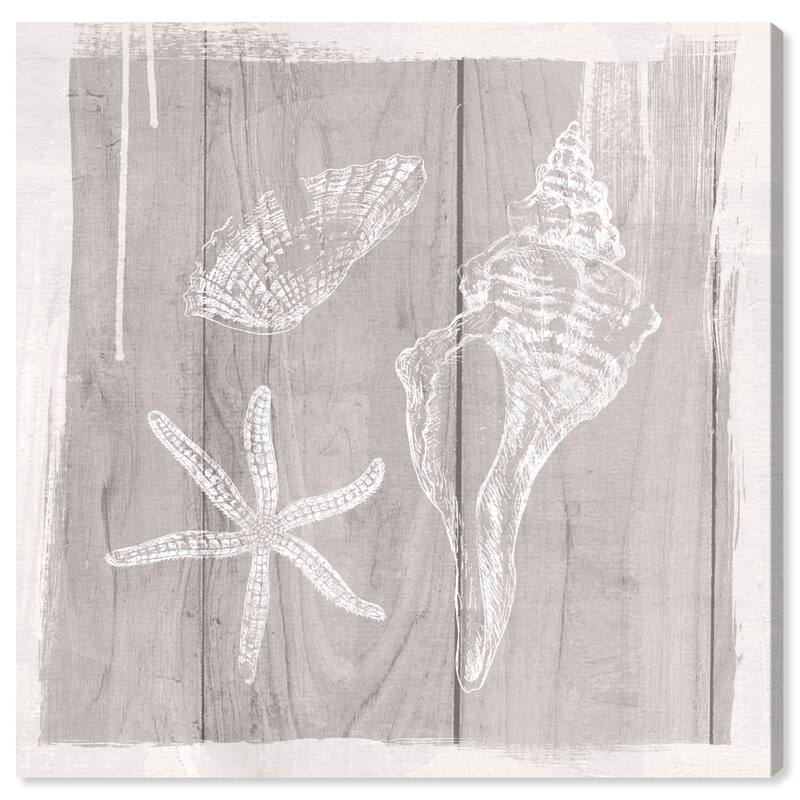 Wynwood Studio Prints Nautical and Coastal Shell Paint Brown and Light Brown Nautical & Coastal Wall Art Canvas Print