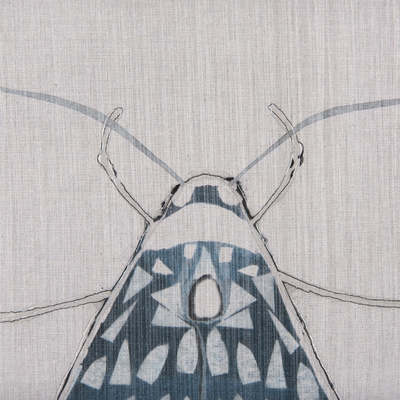 Moth Blue I Framed Art Print