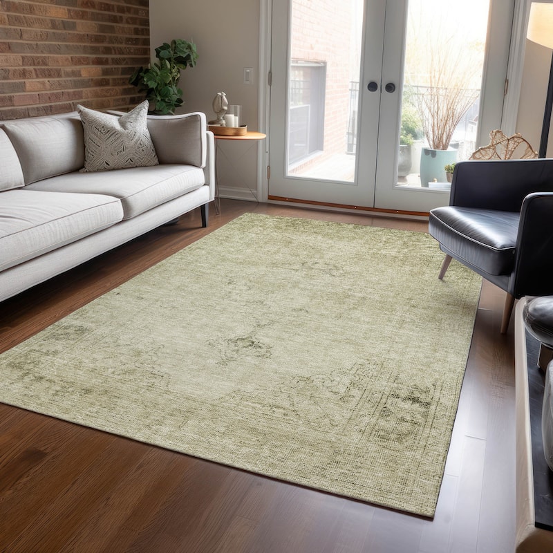 Machine Washable Indoor/ Outdoor Chantille Vintage Traditional Rug - Beige - 3' x 5'