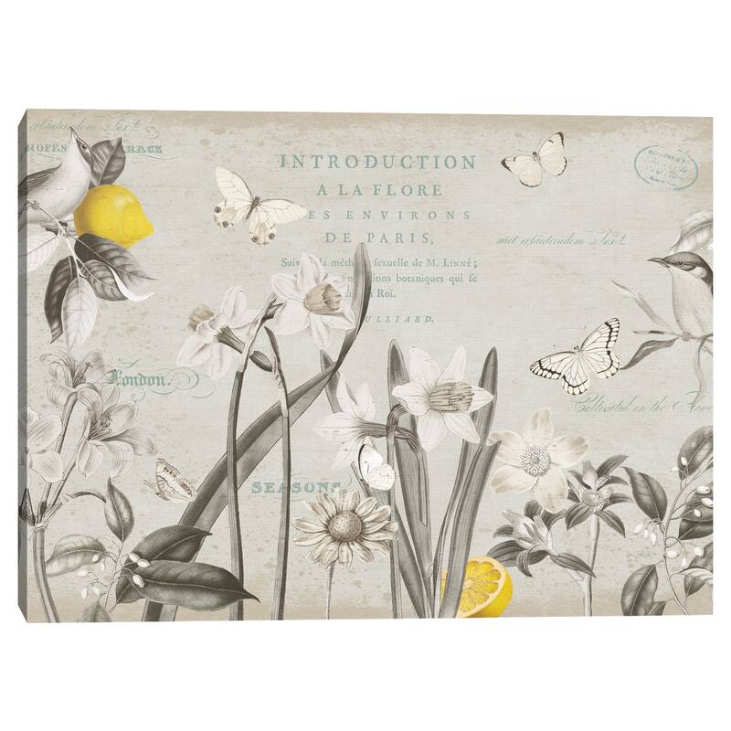 Citron Curiosities I Canvas Art Print