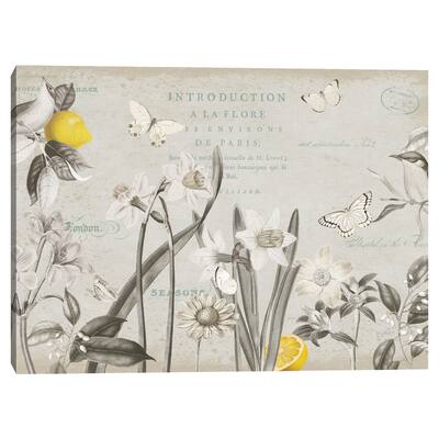 Citron Curiosities I Canvas Art Print