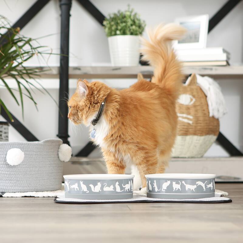 Bone Dry Pet Bowl Cats Meow (Set of 2)