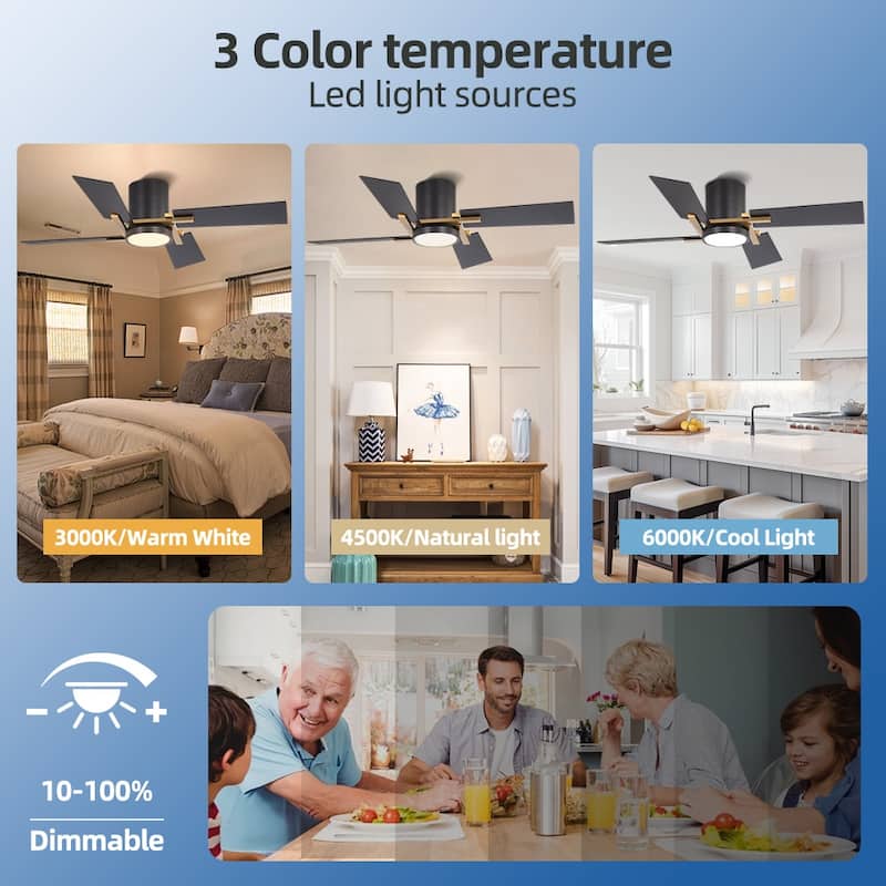 48Inch 4 Two-color Fan Blades Dc Motor Indoor Ceiling Fan With Light Kit And Remote