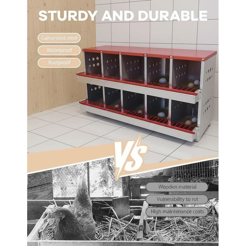 Chicken Nesting Boxes, with 10 Compartment