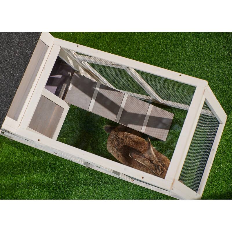 Wooden Chicken Coop with Run, Ventilation Door, Removable Tray, Ramp